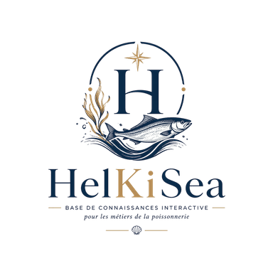 HelKiSea